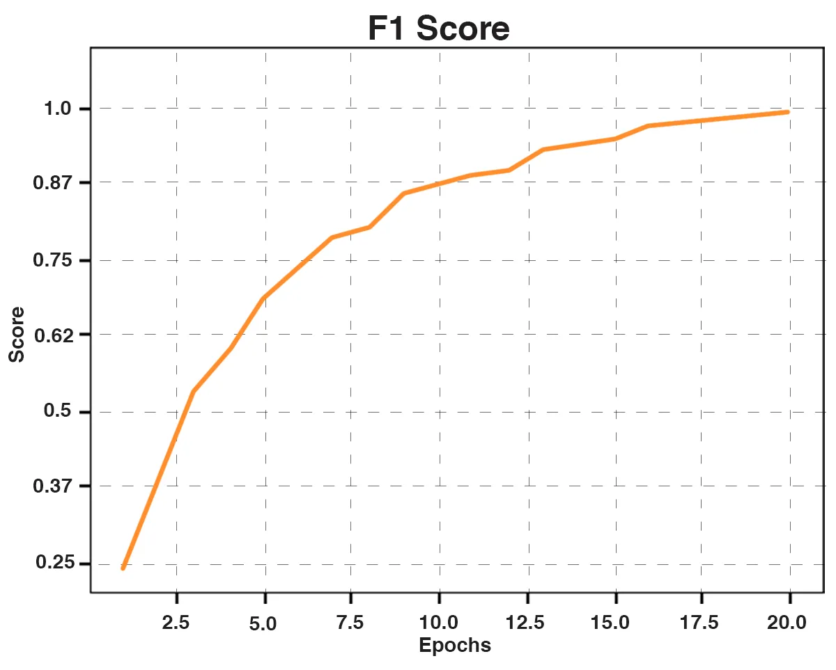 F1 Score