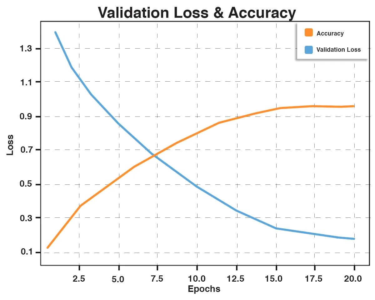 Validation Loss and Accuracy